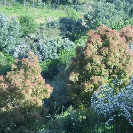 Apartamento Acebo El Raso