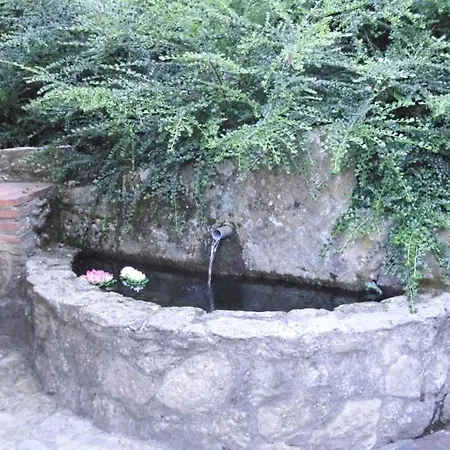 Acebo Apartment El Raso