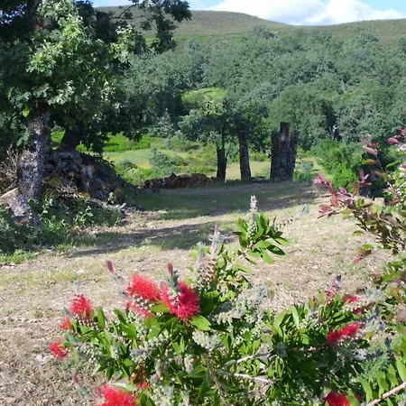 Apartamento Acebo El Raso