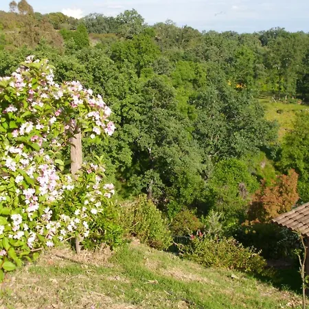 Acebo Apartamento
